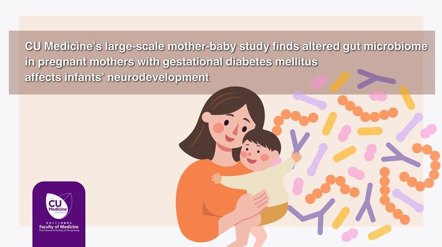 CU Medicine’s large-scale mother-baby study finds altered gut microbiome  in pregnant mothers with gestational diabetes mellitus affects infants’ neurodevelopment