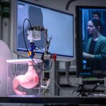 CUHK and ETH Zurich successfully conduct world’s first in vivo teleoperated magnetic endoscopy using an animal model, over a distance of 9,300 km between Zurich and Hong Kong