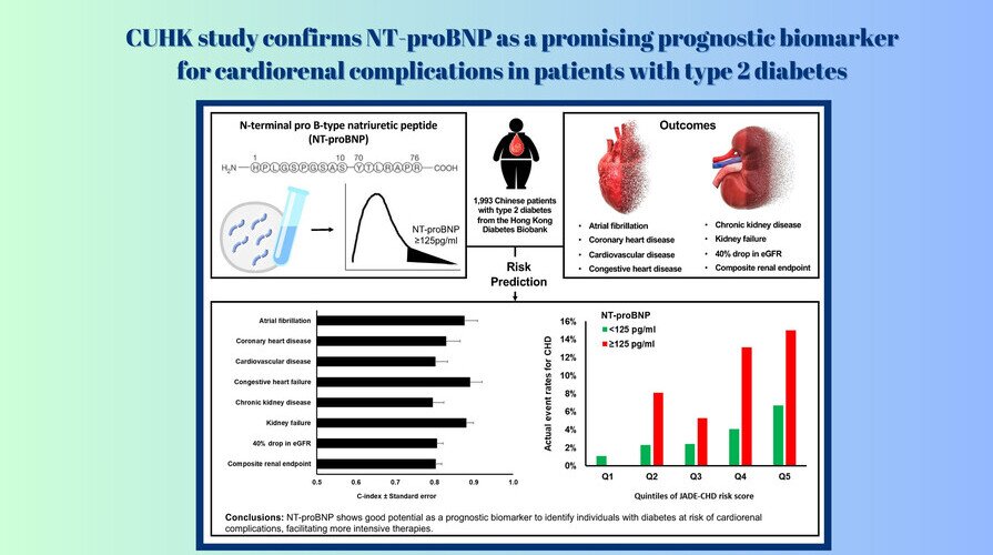 CUHK study confirms NT-proBNP as a promising prognostic biomarker  for cardiorenal complications in patients with type 2 diabetes 