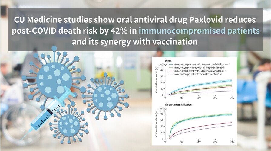 CU Medicine studies show oral antiviral drug Paxlovid reduces post-COVID death risk by 42% in immunocompromised patients and its synergy with vaccination