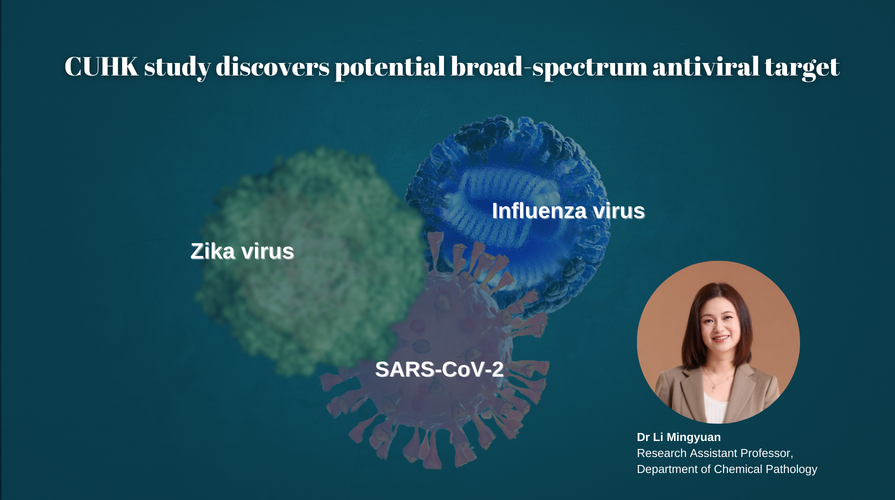 CUHK study discovers potential broad-spectrum antiviral target