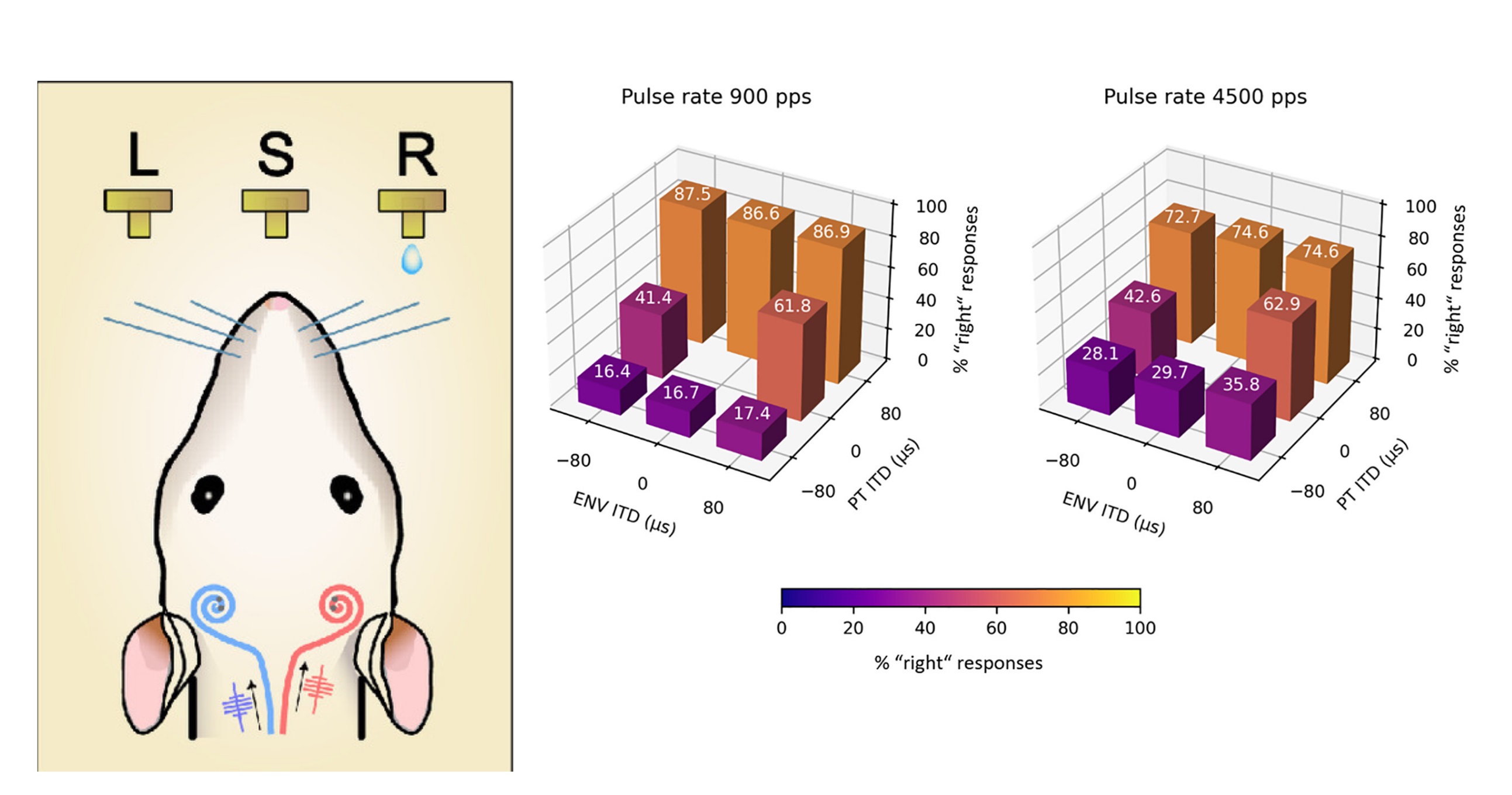 Timing of electrical pulses